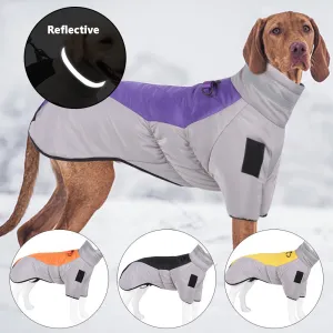 New Pet Dog Jacket Thickened With Reflective Warmth Pet Supplies | Brodtica.com