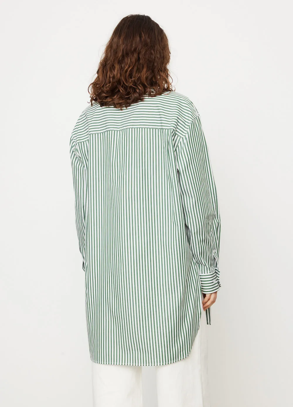 Sally Stripe Shirt Dress